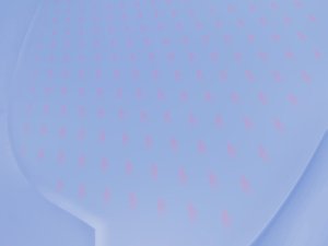 数字员工